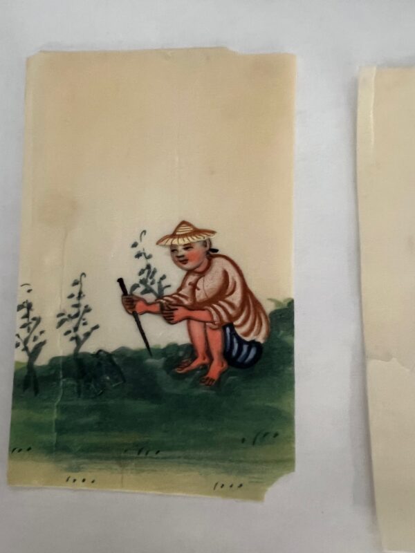 Vintage Chinese Pith Paper Paintings Set (13) - Image 6