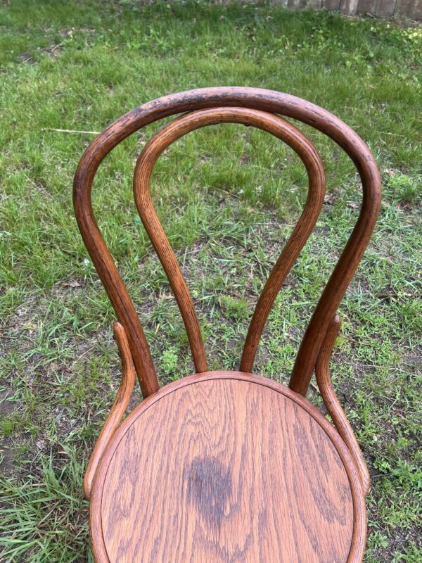 Vintage Bentwood Thonet-Style Chair – Classic Café Bistro Charm - Speakeasy Find! - Image 9