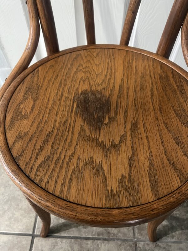 Vintage Bentwood Thonet-Style Chair – Classic Café Bistro Charm - Speakeasy Find! - Image 7